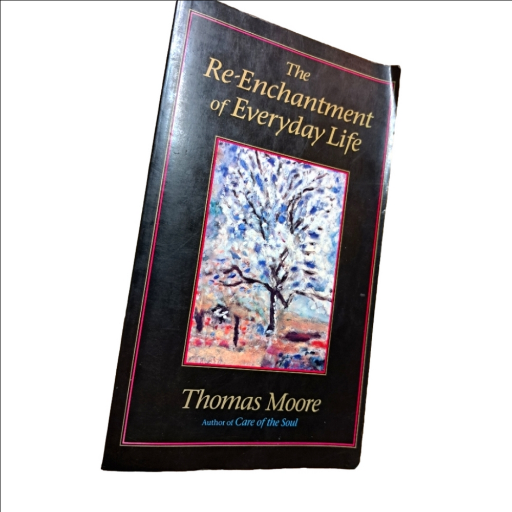 📚 2/$10 Books 📚 Paperback The Re-Enchantment of Everyday Life by Thomas Moore